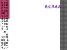 肾小球肾炎