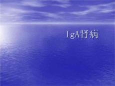 iga肾病诊治教材