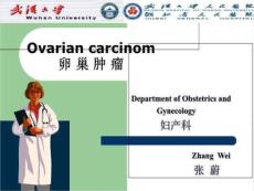Ovariancarcinom卵巢肿瘤