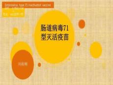 肠道病毒71型灭活疫苗