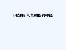 下肢骨折可能损伤的神经