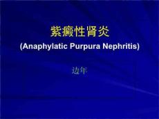 紫癜性肾炎边年PPT