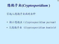 人体寄生虫学课件：隐孢子虫