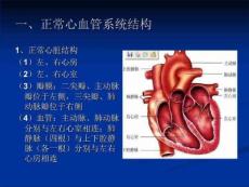 常见先天性心脏病