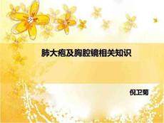 肺大疱及胸腔镜相关知识