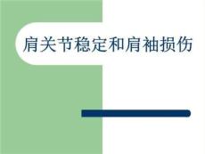 肩关节稳定和肩袖损伤
