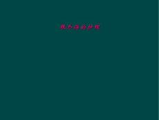 眼外伤的护理