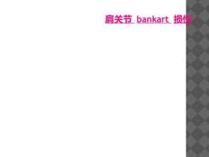 肩关节 bankart 损伤