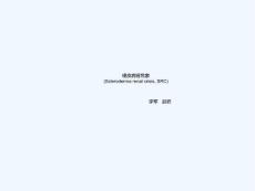硬皮病肾危象