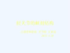 肘关节解剖结构