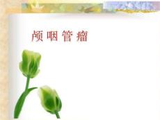《颅咽管瘤》PPT课件