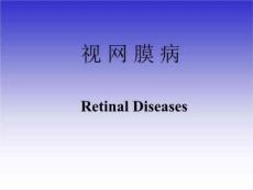 《视网膜病》PPT课件