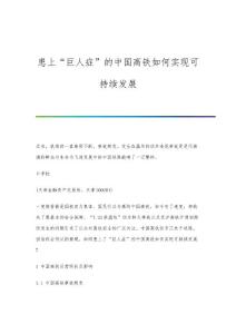 患上巨人症的中国高铁如何实现可持续发展