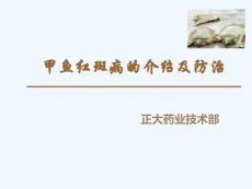 甲鱼红斑病简介