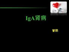 《IgA肾病》PPT课件