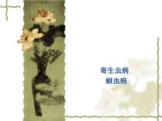 《蛔虫病医学》PPT课件