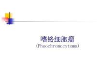 《嗜铬细胞瘤》PPT课件