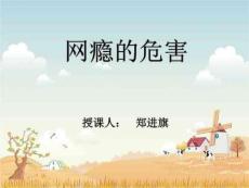 《网瘾的危害》PPT