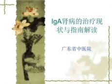 IgA肾病指南解读