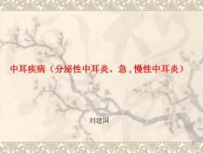 中耳疾病(分泌性中耳炎、急慢性中耳炎)