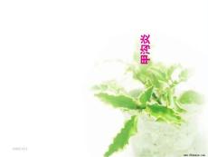 甲沟炎健康教育