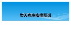 类天疱疮疾病图谱