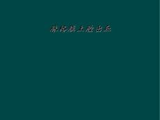 脉络膜上腔出血