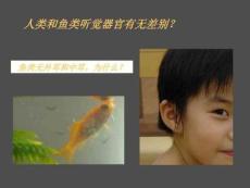传导性耳聋的ct病因分析