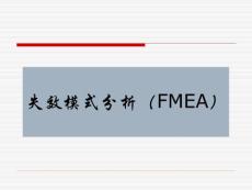 失效模式分析（FMEA）(1)