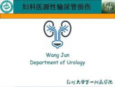 医源性妇科输尿管损伤预防及处理PPT课件