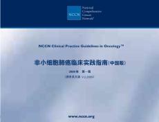 非小细胞肺癌-2009 NCCN指南（中文版）