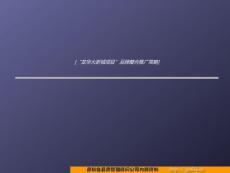 龍華大新城項目_品牌整合推  廣策略【建筑資料】