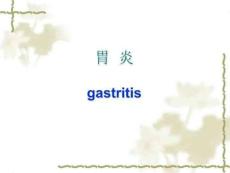 胃炎慢性胃炎病因病机ppt课件