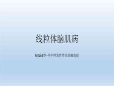 线粒体脑肌病PPT