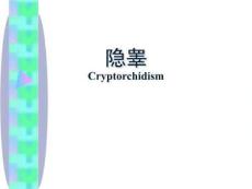 隐睾护理PPT课件