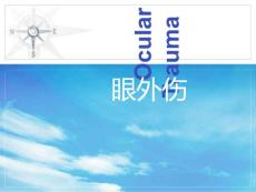 眼外伤-刘康课件