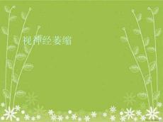 视神经萎缩