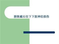 膀胱截石位下下肢神经损伤