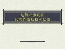 边缘叶癫痫和边缘叶癫痫持续状态