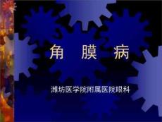 角膜病-教学课件