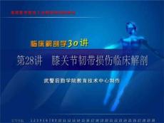 膝关节韧带损伤临床解剖