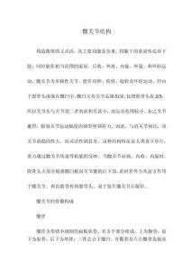 髋关节结构