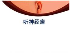 《听神经瘤讲课》PPT课件