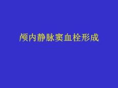 《颅内静脉窦血栓》PPT课件