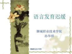 儿童语言发育迟缓