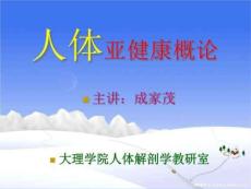 亚健康心理学取向的亚健康观