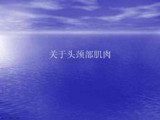 头颈部肌肉课件