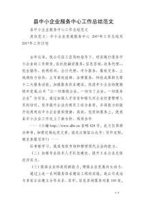 縣中小企業服務中心工作總結范文