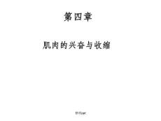 《肌肉的兴奋与收缩》