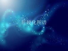 肝硬化图谱